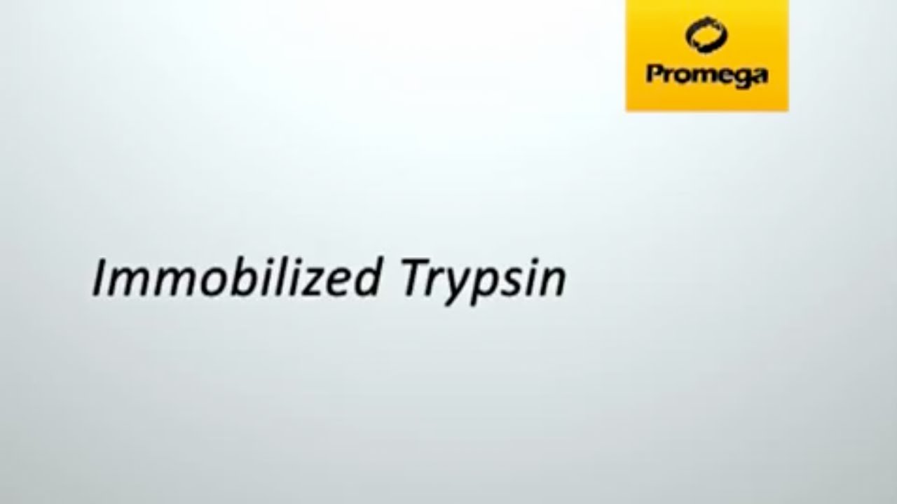 Immobilized Trypsin