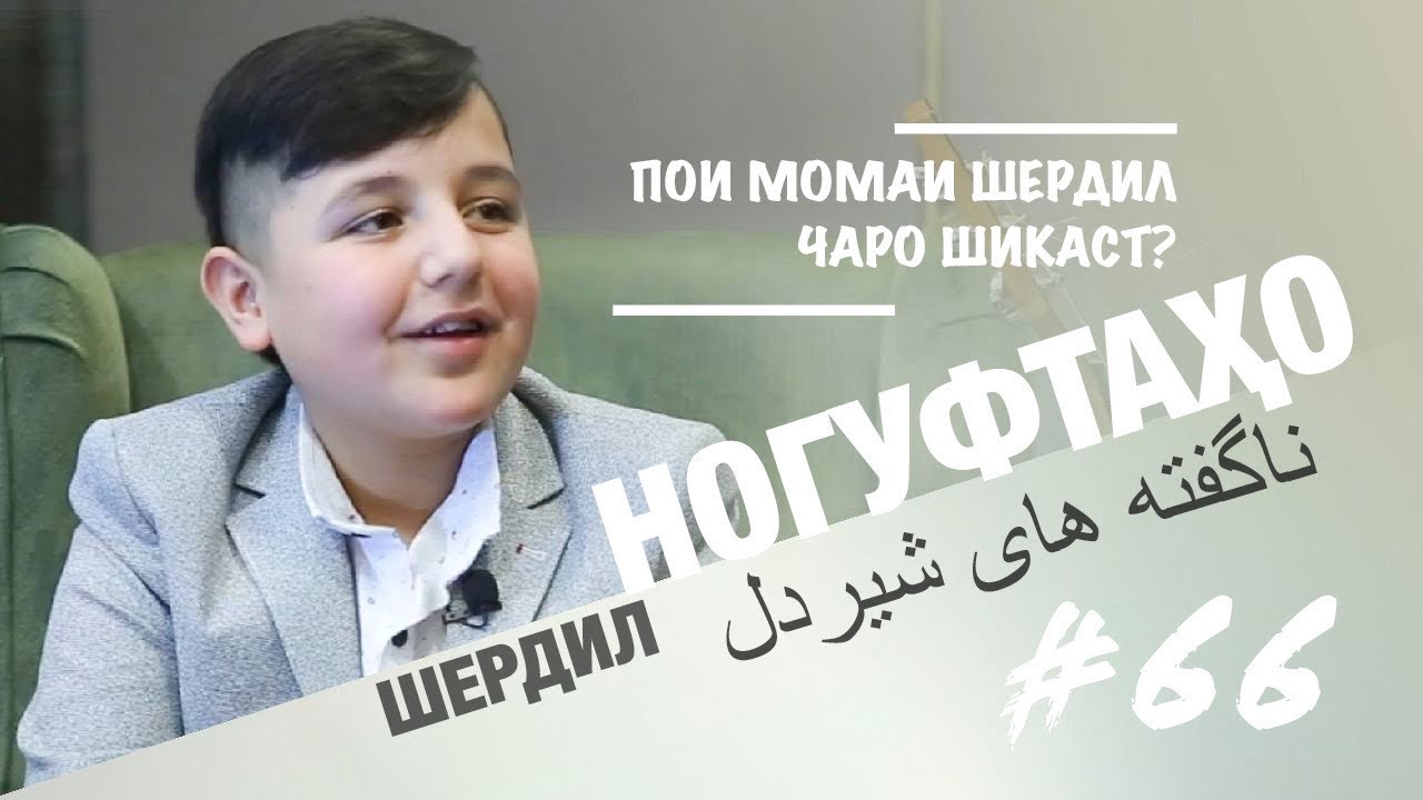 Ногуфтахо бо Шердил