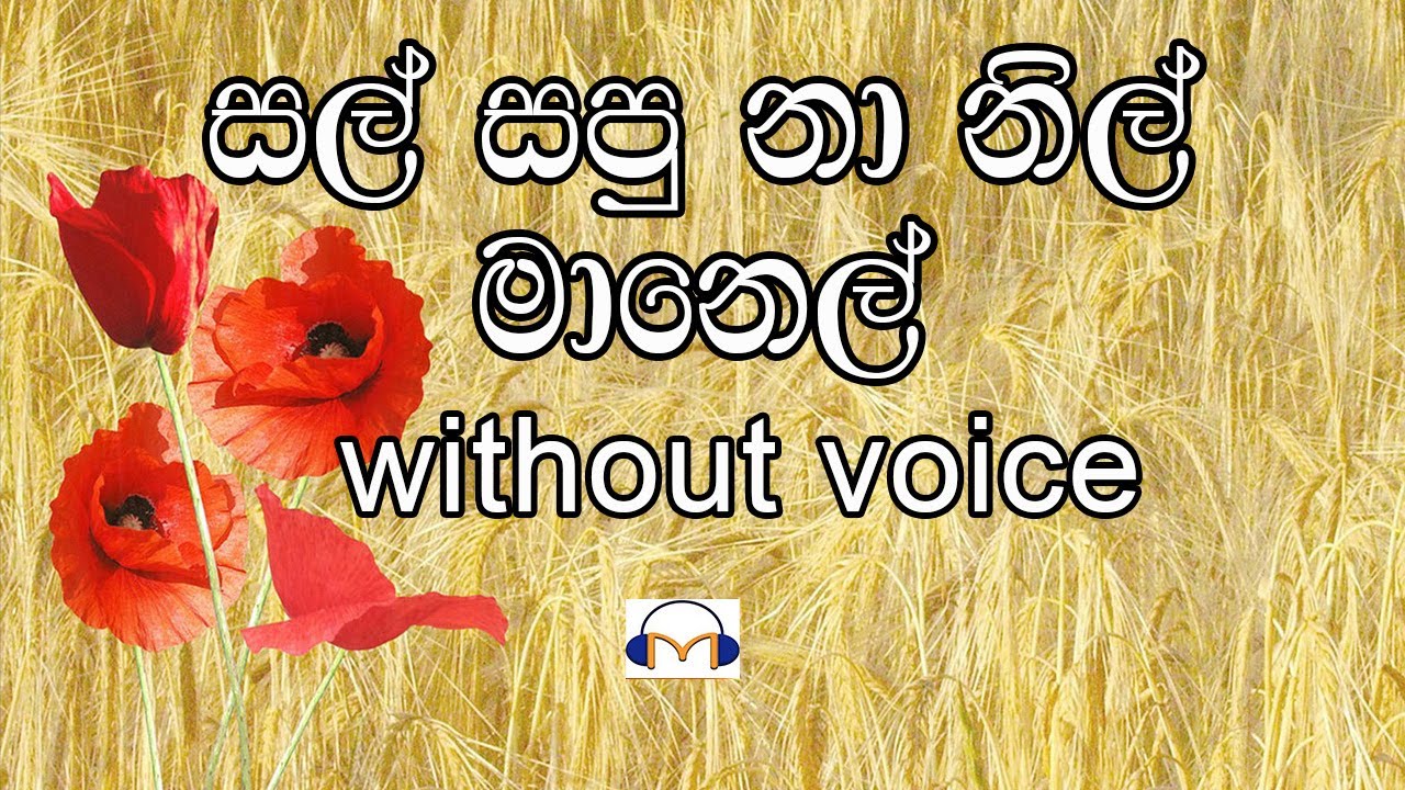 Sal Sapu Na Karaoke (without voice) සල් සපු නා නිල් මානෙල්