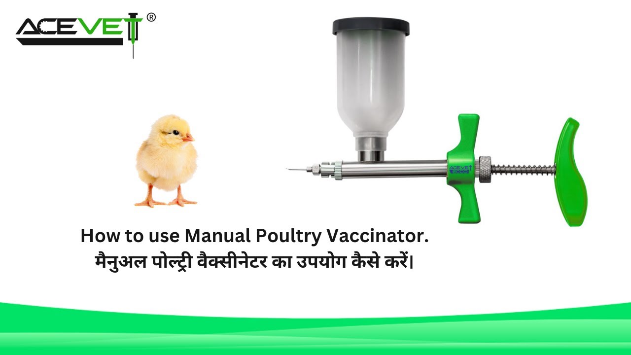 Manual Poultry Vaccinator || How to use ACEVET Poultry Vaccinator || Poultry Vaccine Gun