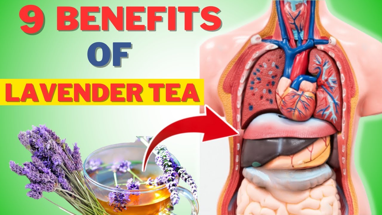 9 Surprising Health Benefits of Lavender Tea That You Need to Know