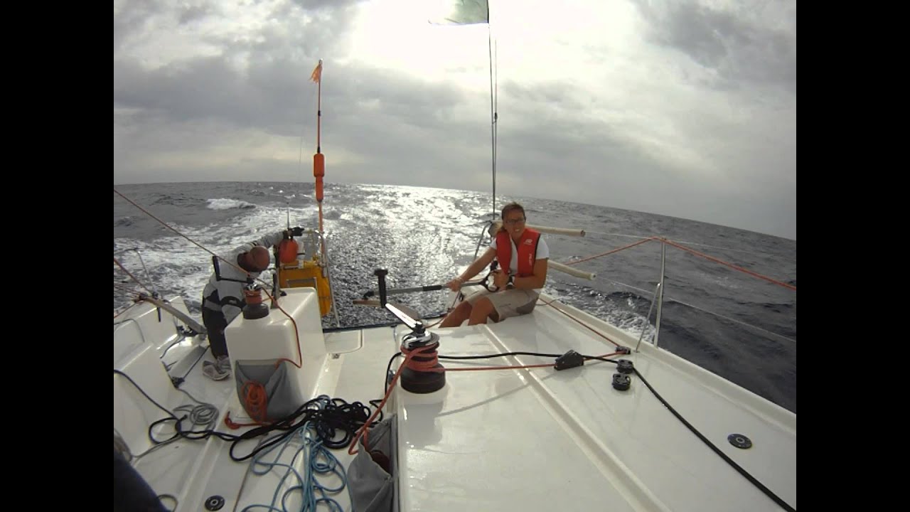 Pogo 40 sailing mood