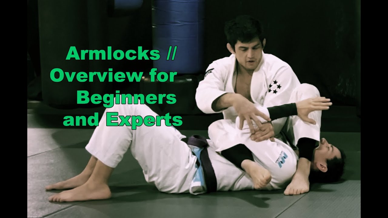 Armlocks for Beginners and Experts [ft. Albert Einstein and NOT John Danaher]