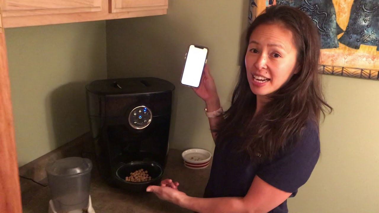 Veterinary review of the Feeder Robot automatic pet feeder