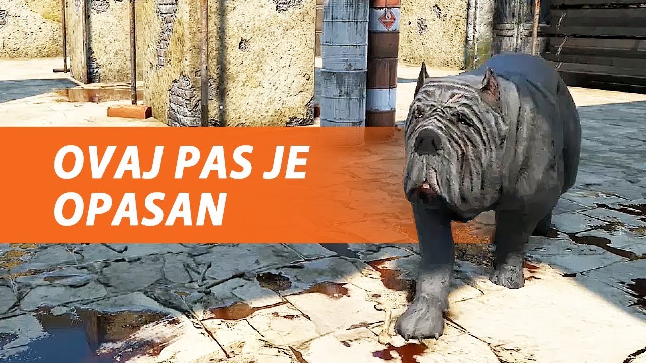 NAJSMJEŠNIJA BOSS BORBA IKADA - Die Young (EP10)