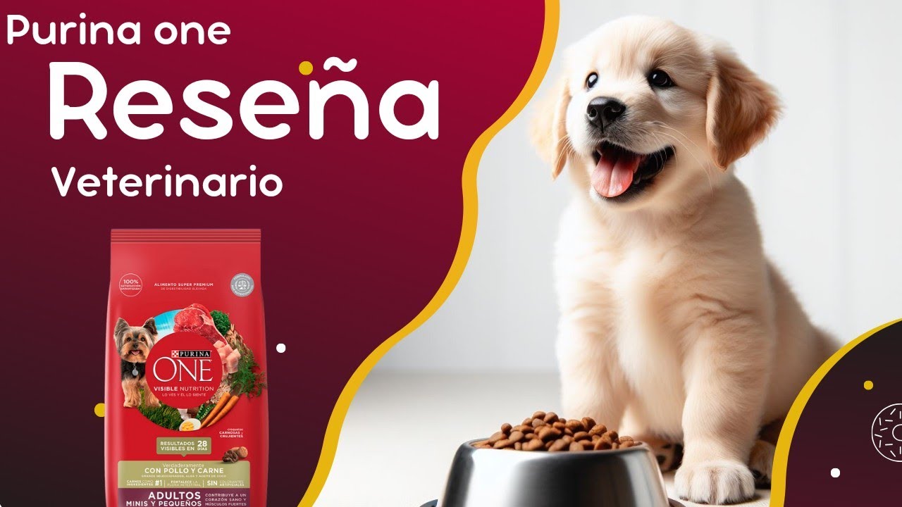 Purina one Adultos Minis y Pequeños Pollo y Carne