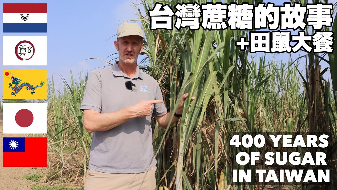 Bittersweet -  Tracing 400 years of sugar in Taiwan - 台灣蔗糖的故事+田鼠大餐 (有中文字幕)