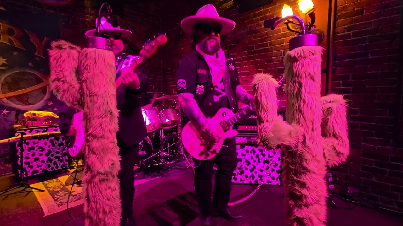 Cheap Sunglasses ZZ Top Tribute Band 