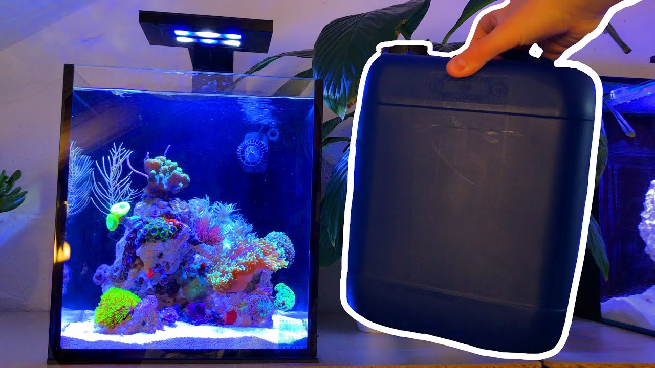 Nano Reef Tank Water Change (No Skimmer)