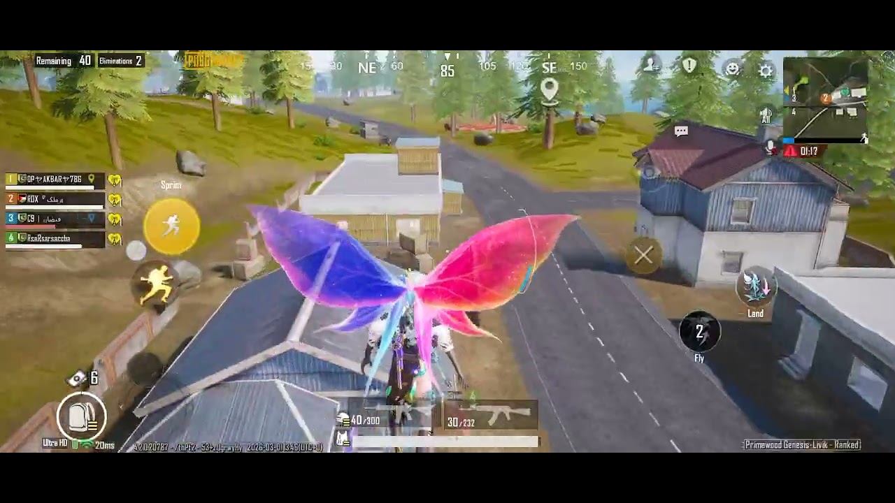 17 KILL WINNER WINNER CHICKEN DINNER