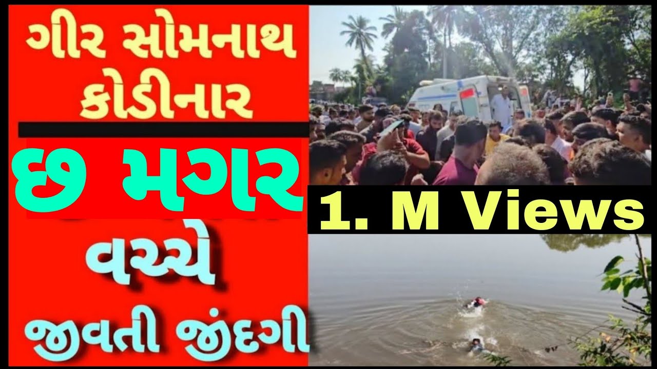કોડીનાર લાલક વાડી પાસે સિંગોડા નદીમાં એક વ્યક્તિ ડૂબતો હોય તેમને બચાવ્યો #breakingnews