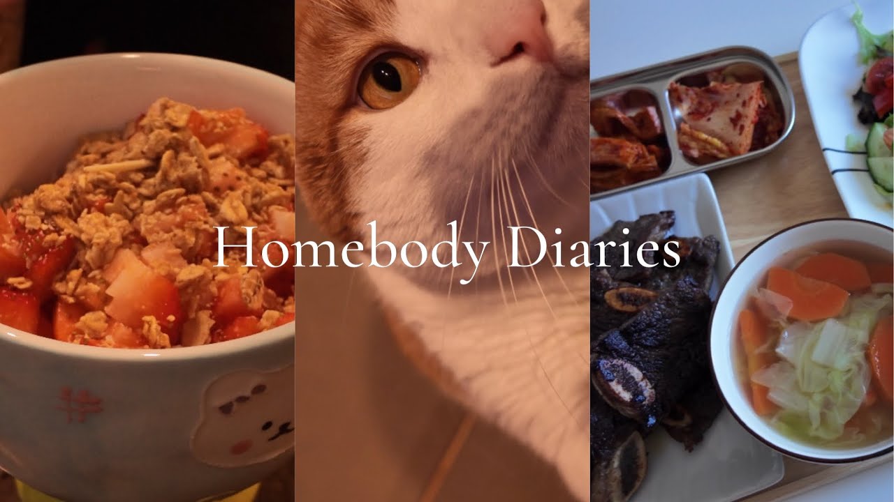 Homebody diaries | Cozy introvert morning with my cats, slow living, cooking Korean food LA Galbi