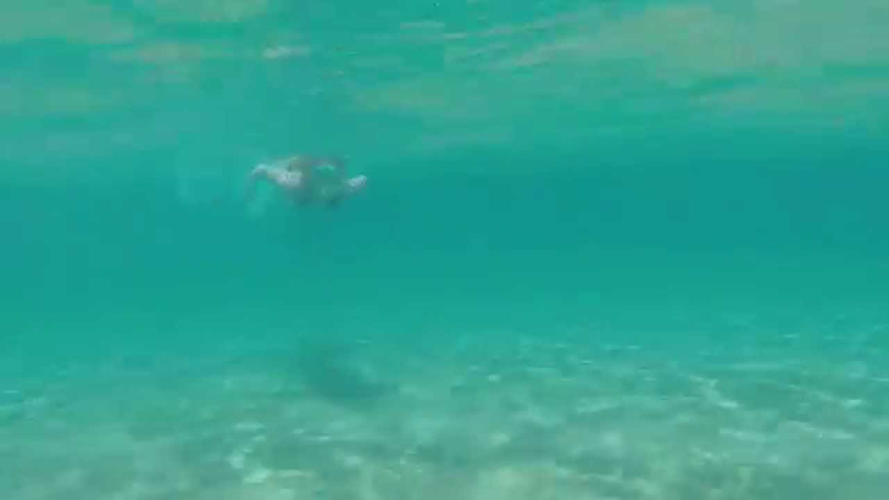 150716 Estelle snorklar på Sifnos