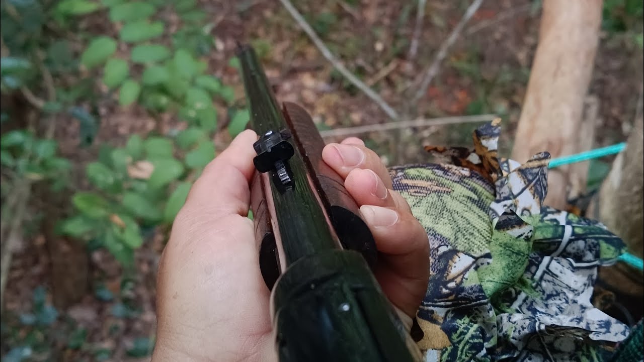 Caçada de CUTIA com o lendário rifle 22 ROSSI GALLERY JÚNIOR,filmei o abate!? Confiram nesse VÍDEO!
