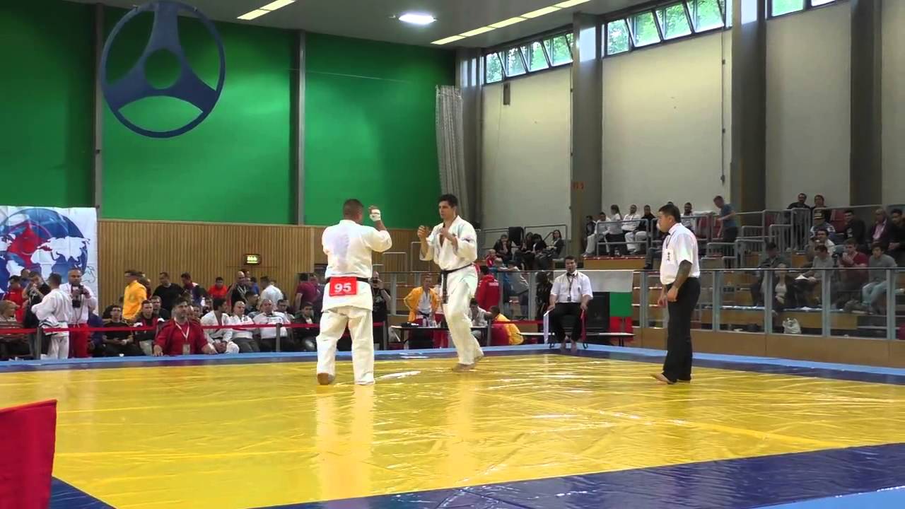 V Kyokushin-Kan European Championship 2015 Emanuel Lebo - Ilin Ilia