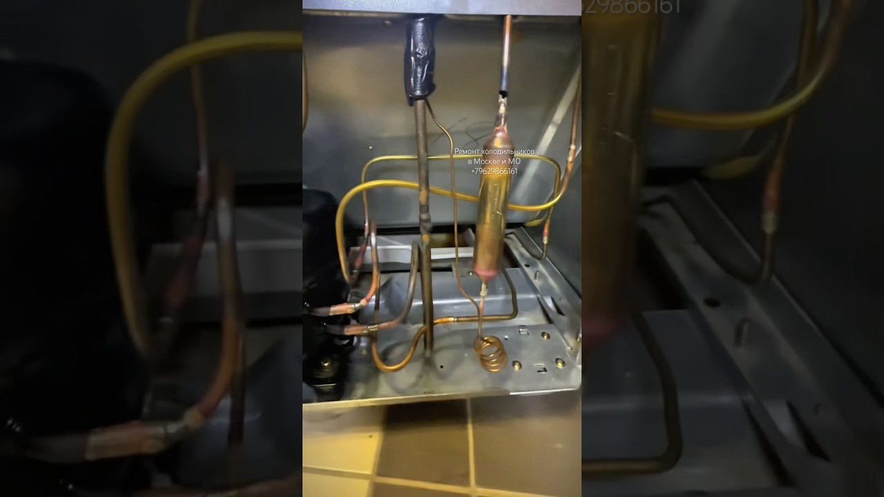 Это что за АППАРАТ 🤩Ремонт холодильника Daewoo,ремонт Daewoo не холодит,Daewoo не морозит