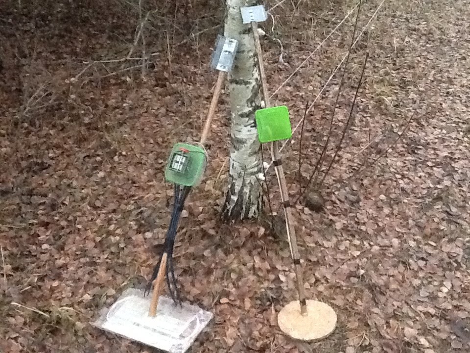 Металлоискатель пират тест, сравнение с бабочкой.