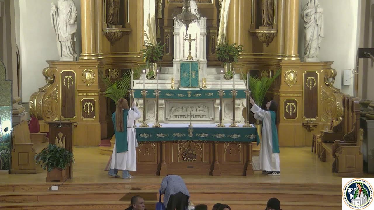 V Domingo Ordinario