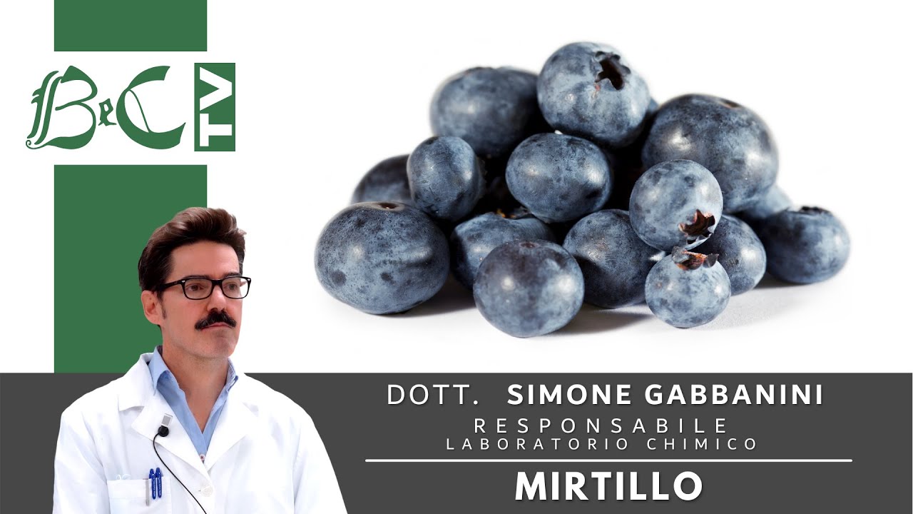 Mirtillo Nero, fonte di vitamine e polifenoli contro i radicali liberi  - BeC natura