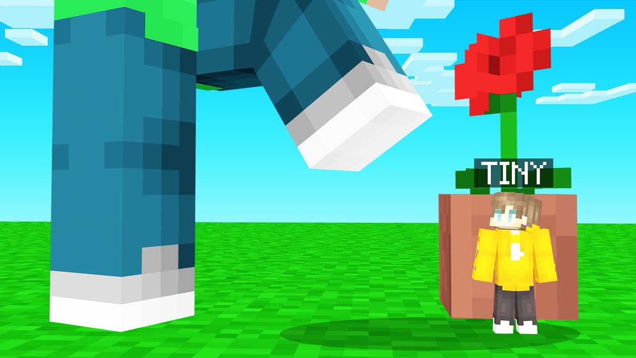 GIANT SEEKERS Vs TINY HIDER In Minecraft! (Hide & Seek)