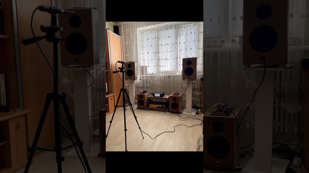 Novozhilov Acoustic Satori MW19P-8 + TW29R-B 