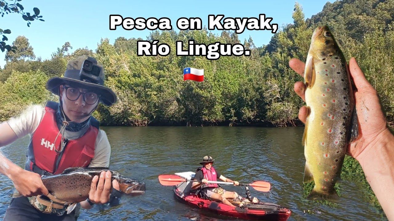 EN BUSCA DE TRUCHONES POR EL RÍO LINGUE, REGIÓN DE LOS RÍOS.