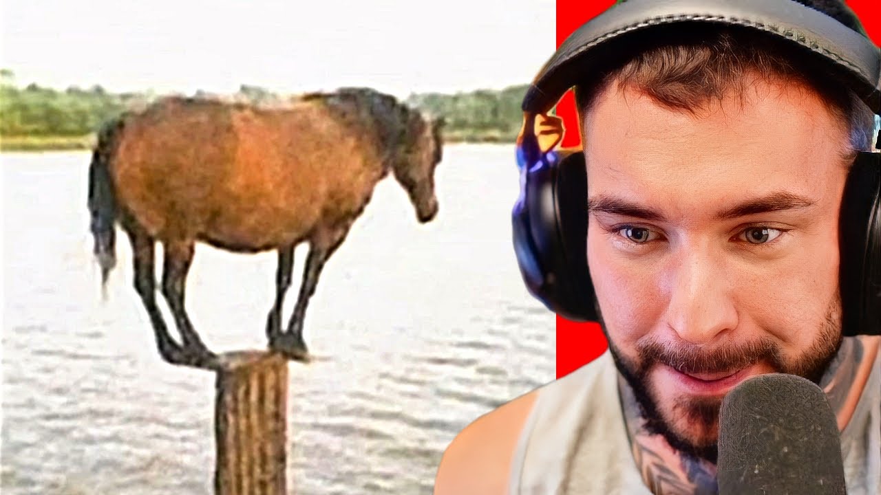 zasměješ se = jsi rozbitý