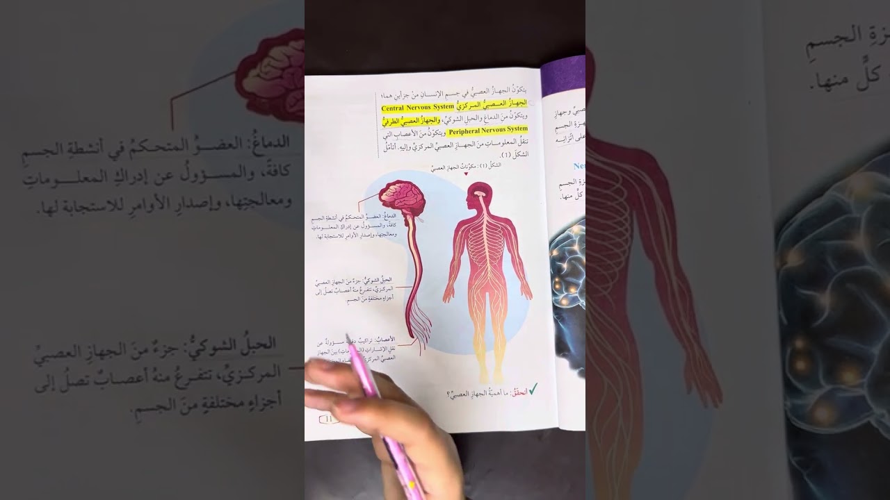 الصف الثامن/علوم/درس الضبط والتنظيم ج(١) #الصف_الثامن #علوم