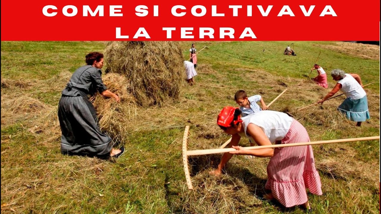 La mietitura di una volta i contadini del passato rievocazione