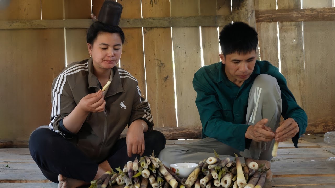 Couple foraging in the forest: Sweet and fresh bamboo shoots for lunch.