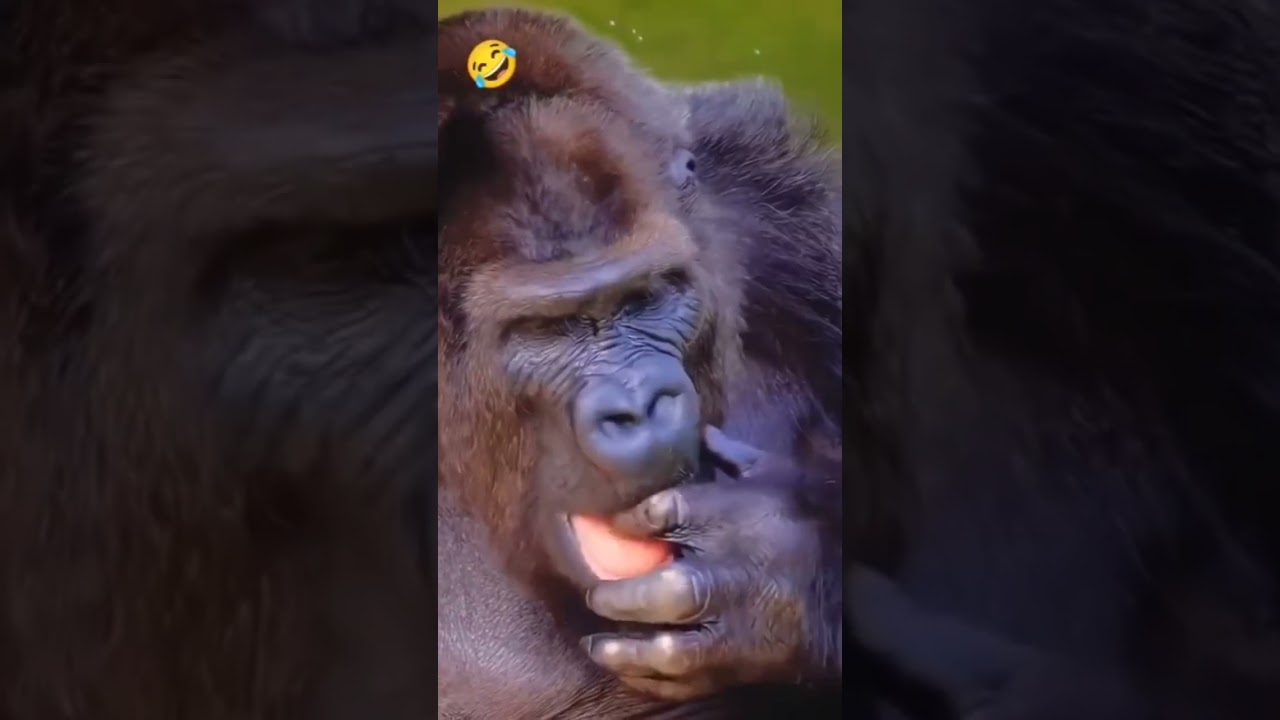 comedy shorts gamercomedy short video 🤣 #viral #video #shortsfeed #shorts