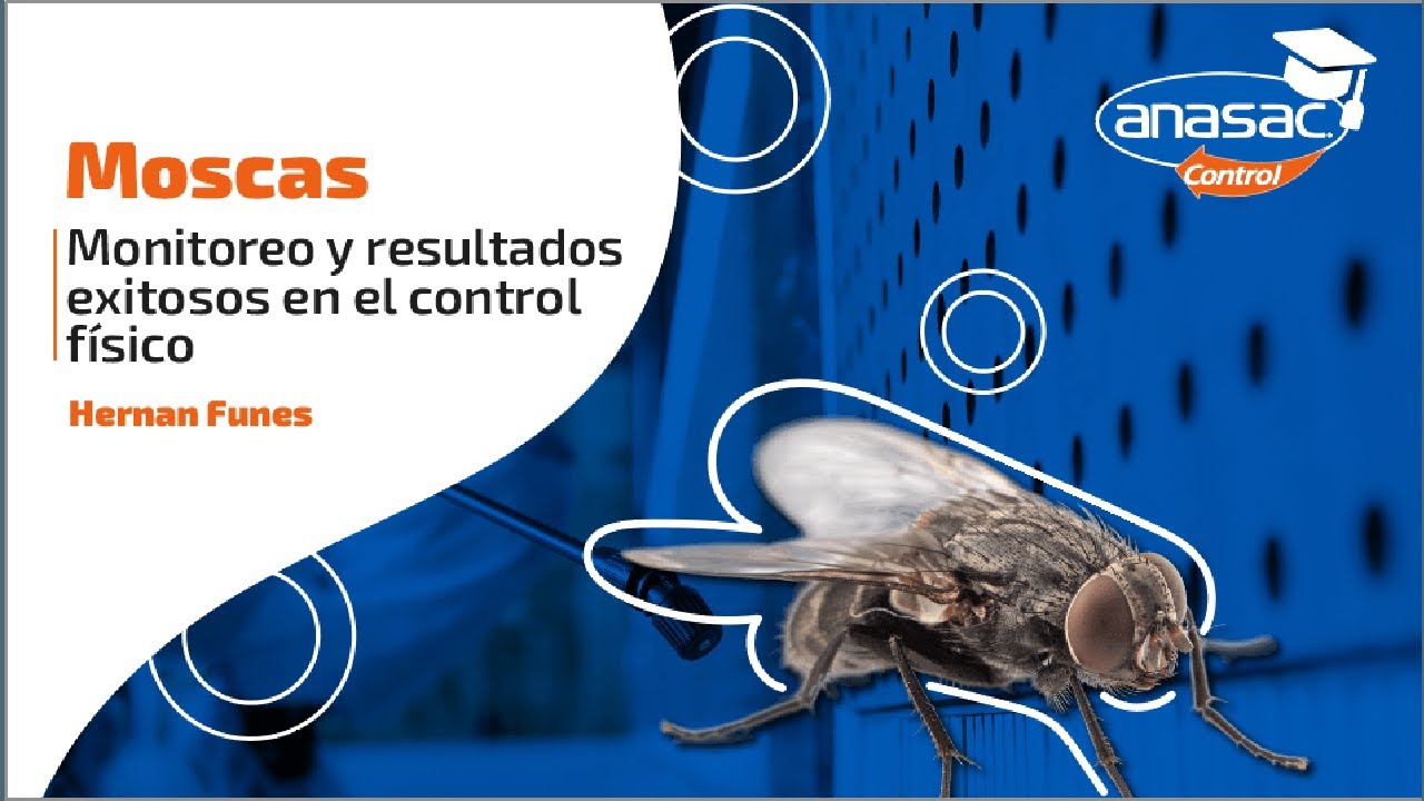9° SEMINARIO INTERNACIONAL DE CONTROL DE PLAGAS | MOSCAS MONITOREO Y CONTROL - HERNAN FUNES