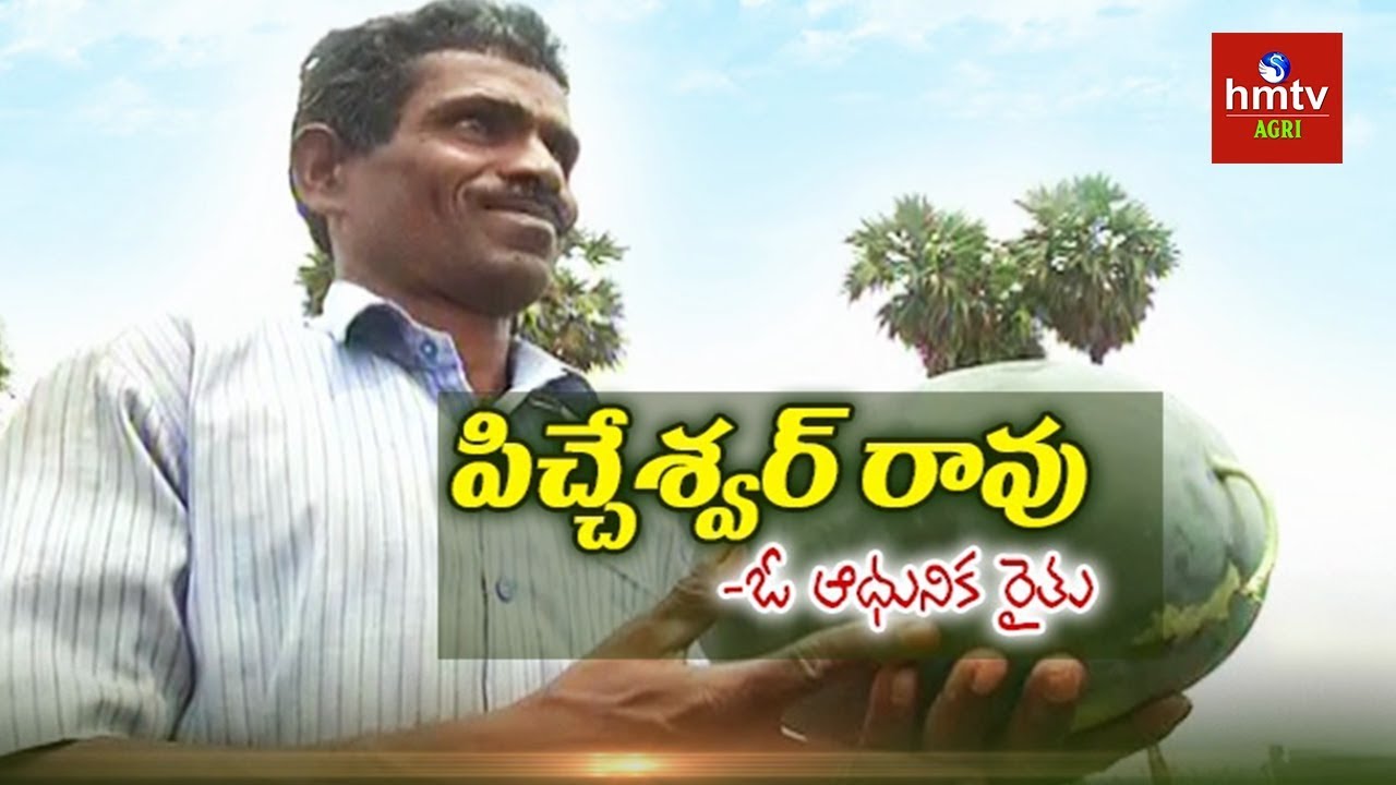 Krishna District Farmer Picheswar rao Success Story in Natural Farming | hmtv Agri