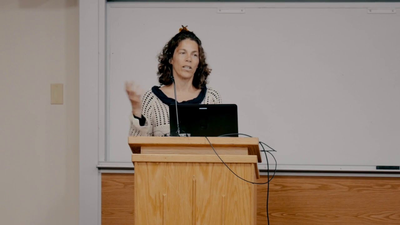 Noga Kadman - Erased from Space and Consciousness
