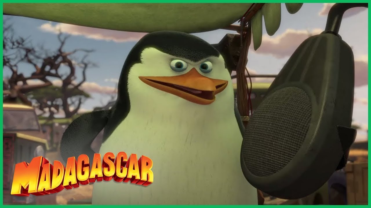 DreamWorks Madagascar em Português | Os melhores momentos Os Pinguins
