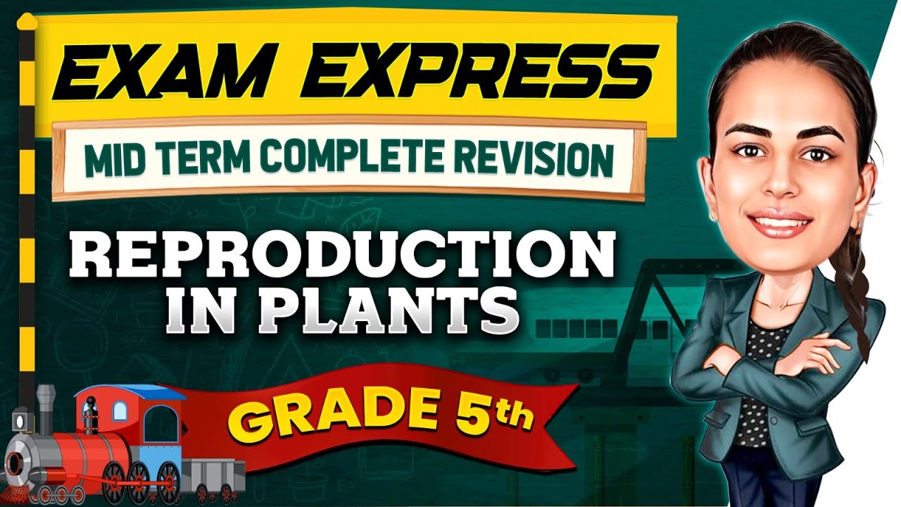 Reproduction in Plants || Midterm Revision For Class 5th || Exam Express