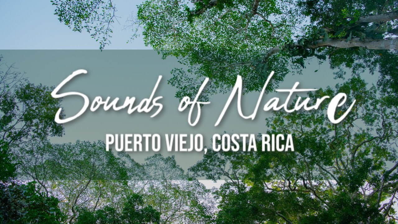 Los mejores sonidos para RELAJACIÓN | PUERTO VIEJO, COSTA RICA