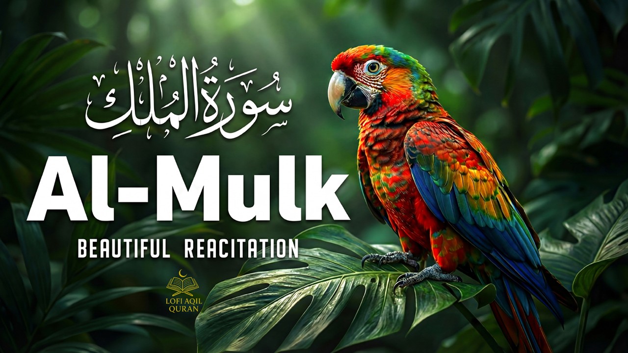 Surah Al-Mulk سورة الملك | Majestic Lofi Quran Recitation for Healing & Inner Peace #SurahMulk