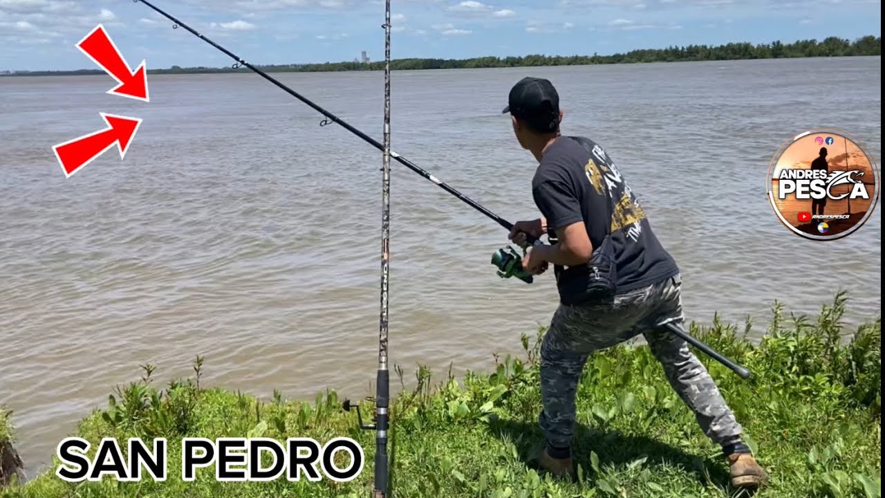 Pesca san Pedro, activando la pesca 🎣isla la brava lugar el arenal .