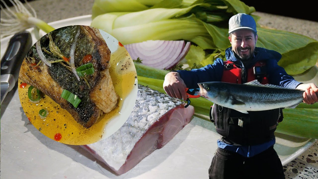 Australian Salmon is NOT cat food! Catch & Cook.