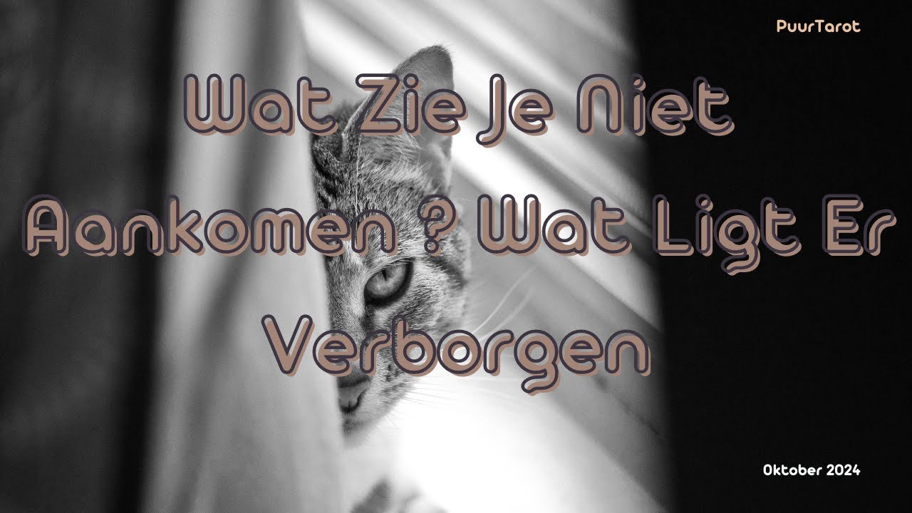 Collectief - Eindelijk Zal Deze Persoon Aan Zichzelf Werken #tarotreading #september #twinflame