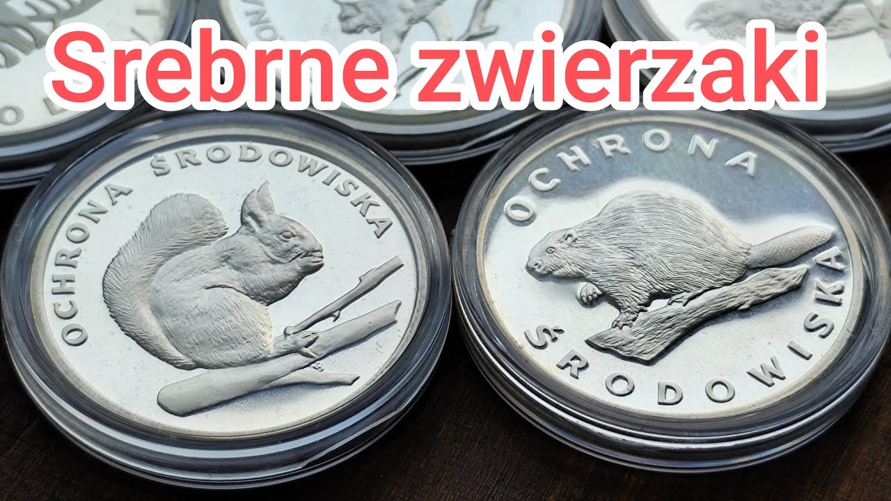 🇵🇱 Srebrne monety z PRL - Ochrona Środowiska #coin #prl #silver #poland