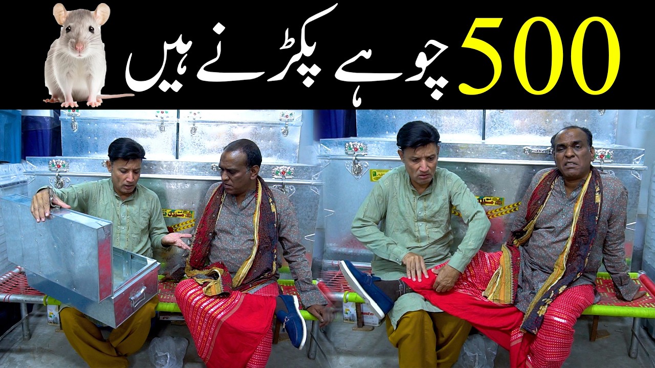 Aslam Chitta New Comedy Video 2026 | Standup Comedy By Aslam Chitta | #Comedy #2026