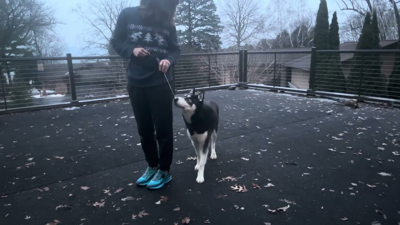 Left side: trying this out with a target stick