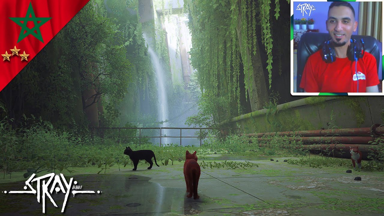 مغامرات فرادية: الخصايل ديال القطوط | Stray Gameplay [1]