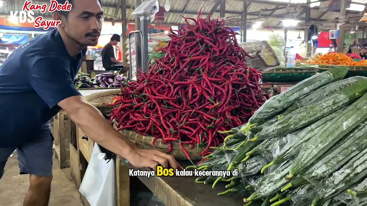 NAIK SEMUA, Cabe naik Sayuran MAHAL 