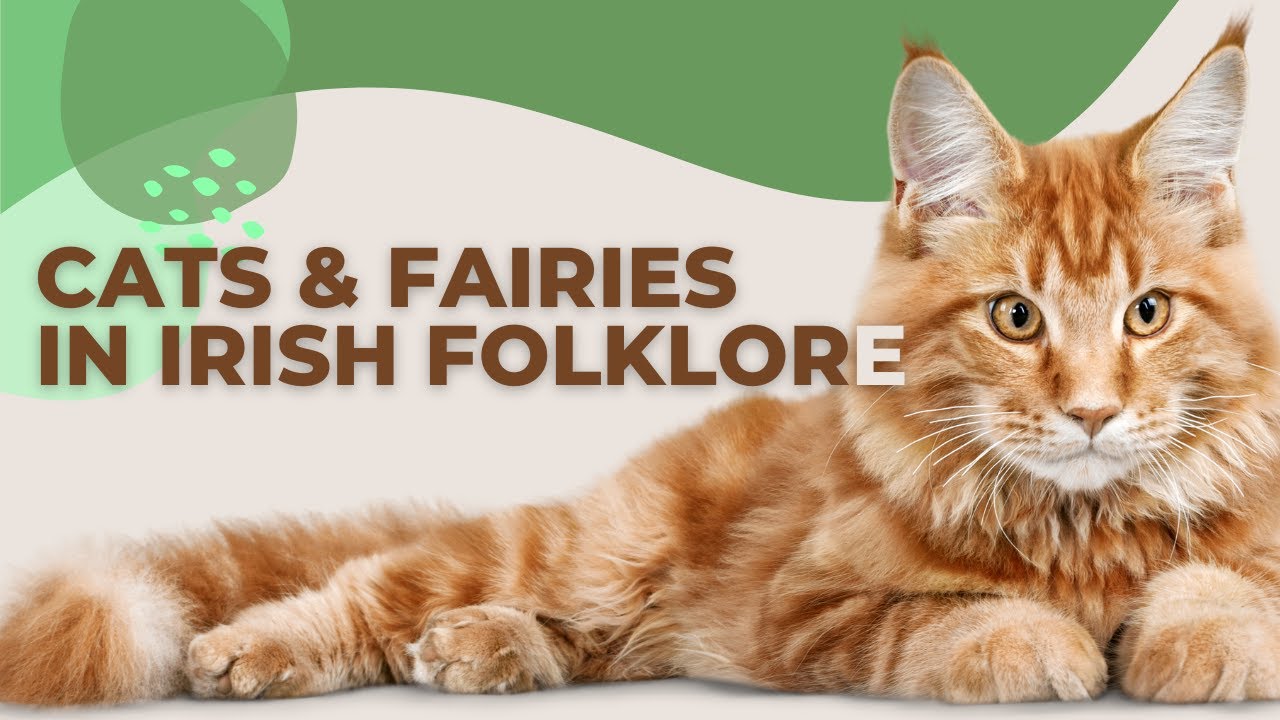 Bewitching Tales of Cats and Fairies in Irish Folklore 😺🌟