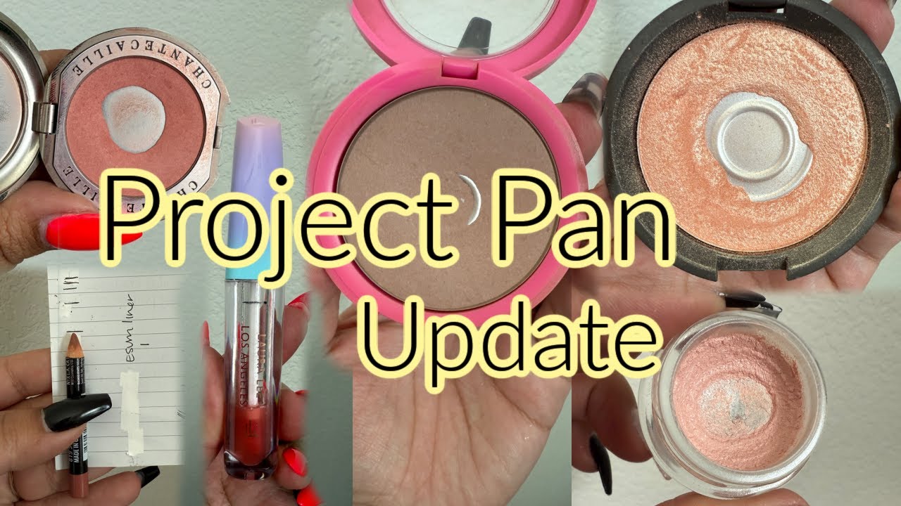 Обновление Project Pan №10 | 4 пустых контейнера! 🙌🏻