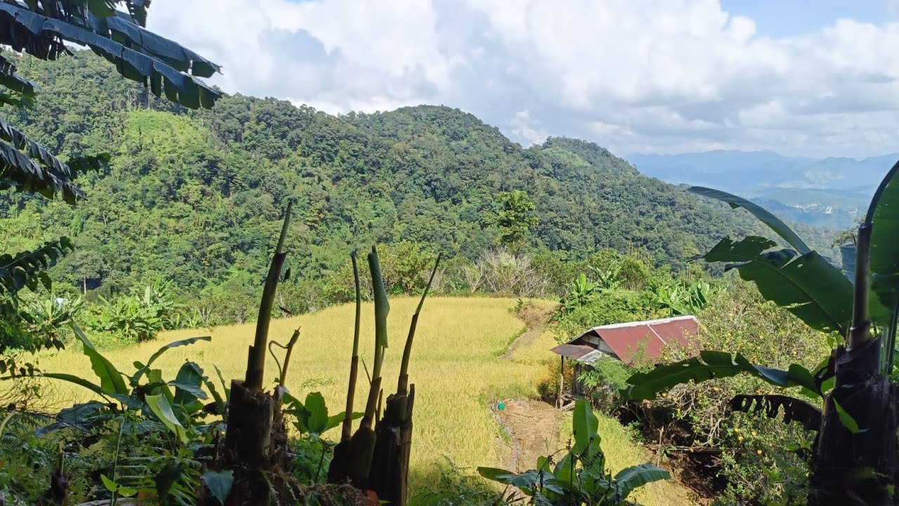 LEILET THLAM LAMAH  #sailam #mizoram #paikawng 