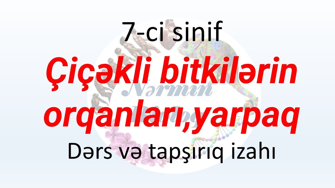 Biologiya 7-ci sinif. Çiçəkli bitkilərin orqanları, yarpaq. dərs və tapşırıq izahı